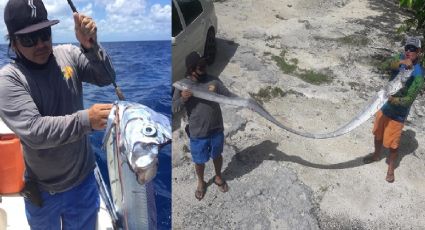 ¿Qué pasa cuando aparece el pez remo?: Encontraron uno en Cozumel