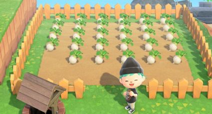 Animal Crossing New Horizon: consejos para generar ganancias en compraventa de nabos