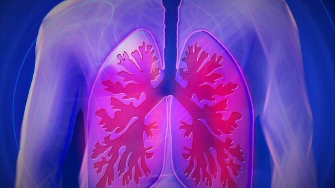 ¿Cual es la función del sistema respiratorio en el cuerpo? ¿Por qué es importante?