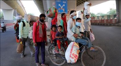 ‘Nipah’ virus mortal en India, la OMS alerta por su reactivación