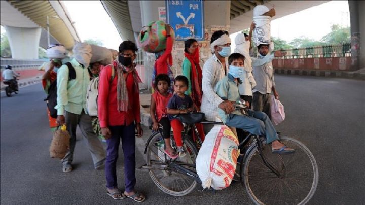 ‘Nipah’ virus mortal en India, la OMS alerta por su reactivación