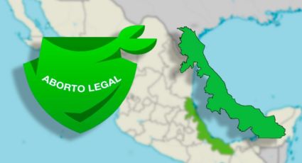 SCJN rechaza aborto en el estado de Veracruz por este tecnicismo