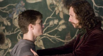 Harry Potter: los personajes cercanos que murieron