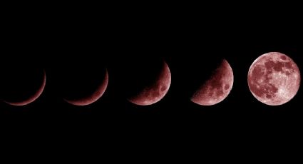 Calendario lunar: ¿Cuándo habrá luna llena en noviembre 2021 y cuáles son sus fases?