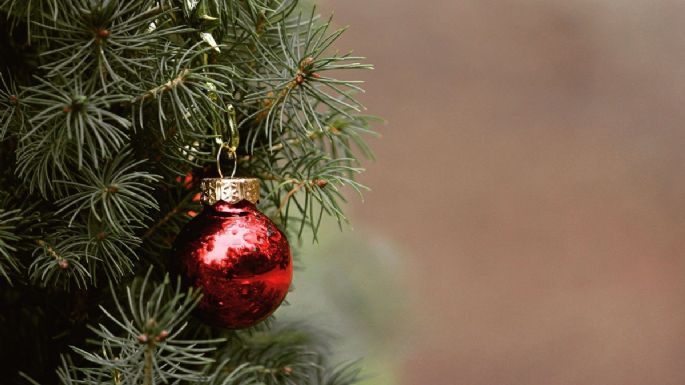 ¿Dónde comprar un árbol de Navidad natural y barato cerca de CDMX?