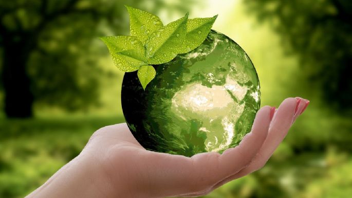 Ecolana App: la aplicación que te premiará por reciclar y cuidar el medio ambiente