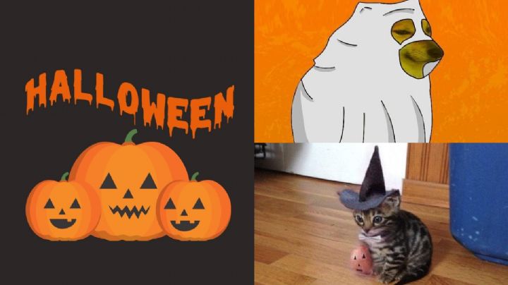 Hoy es 1 de octubre y los MEMES ya celebran Halloween