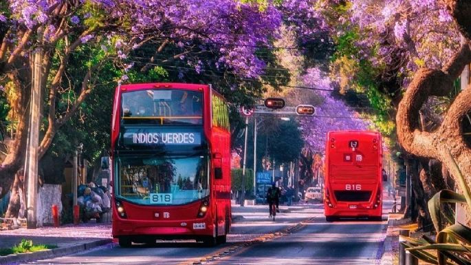 Hoy No Circula: Lunes 30 de mayo CDMX y EDOMEX