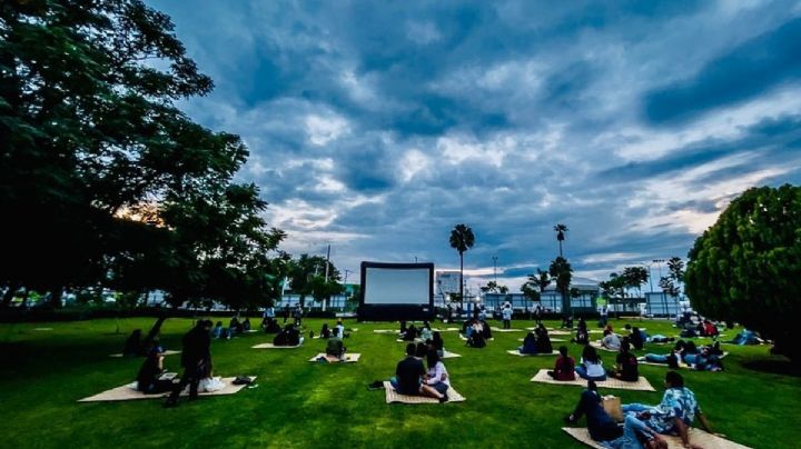 Cinema Picnic, la refrescante actividad el Festival Internacional de Cine Guanajuato 2022