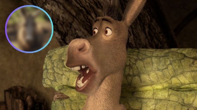 Así se vería 'Burro' de Shrek en la vida real según la inteligencia artificial; su mirada te dará pesadillas