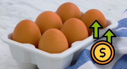 ¿Cuánto cuesta el kilo de huevo en México Febrero 2023?