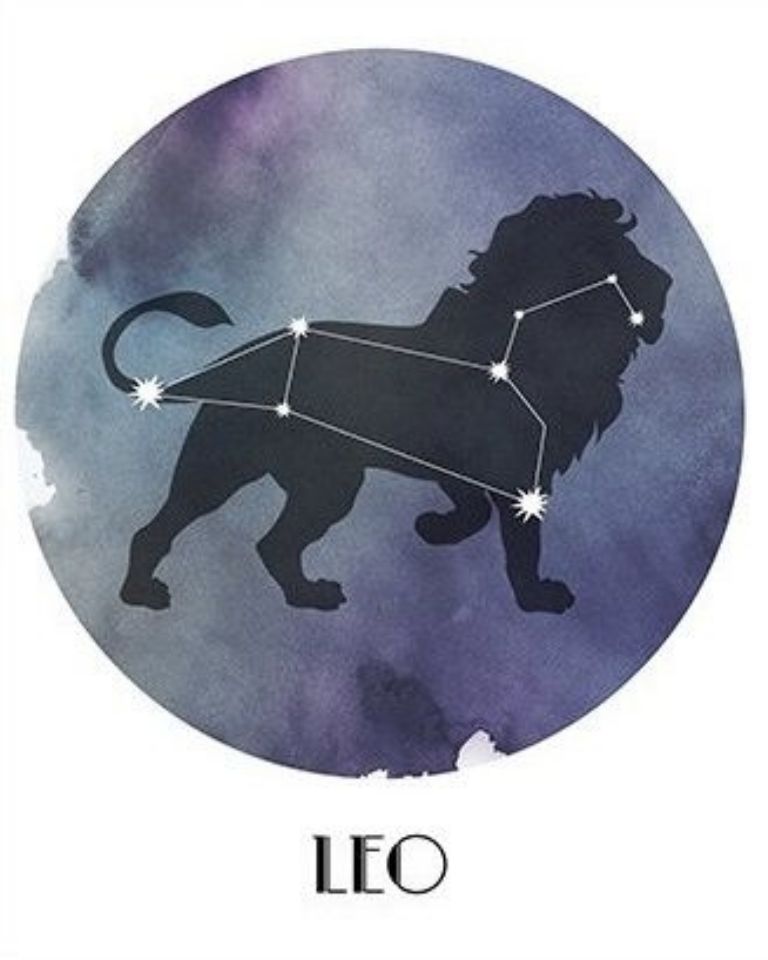 Leo es el signo zodiacal menos sucio del horóscopo. Siempre tiene todo en orden.