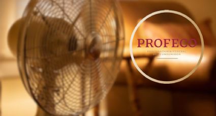 Los 3 MEJORES ventiladores para comprar y combatir el calor, según la Profeco