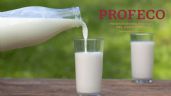 No la quieren, pero esta leche es la menos grasosa y con más proteína según Profeco