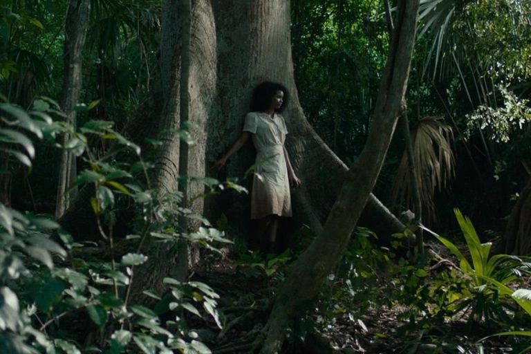 película mexicana en netflix sobre la selva