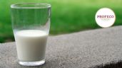 Es la MEJOR leche del mercado según Profeco pero no se vende en las tienditas, ¿dónde comprarla?