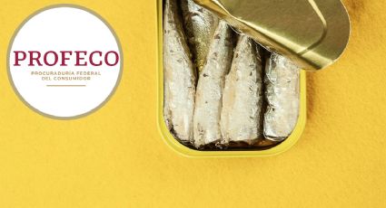 Estas son las sardinas con palomita de Profeco y las mejores para Semana Santa