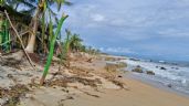 Foto ilustrativa de la nota titulada: Desaparece playa en Acapulco: así fue como huracán John devoró la playa en Pie de la Cuesta