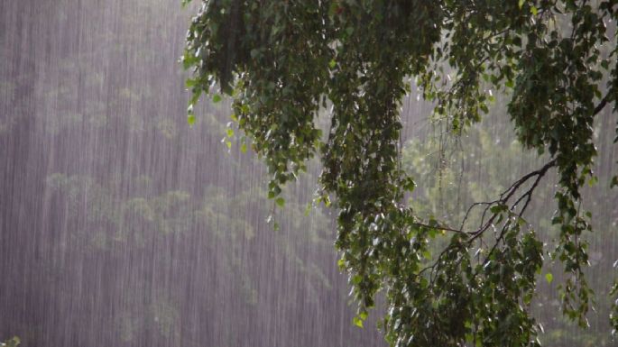 Aviso de depresión tropical: estados en ALERTA por lluvias hoy miércoles 2 de octubre