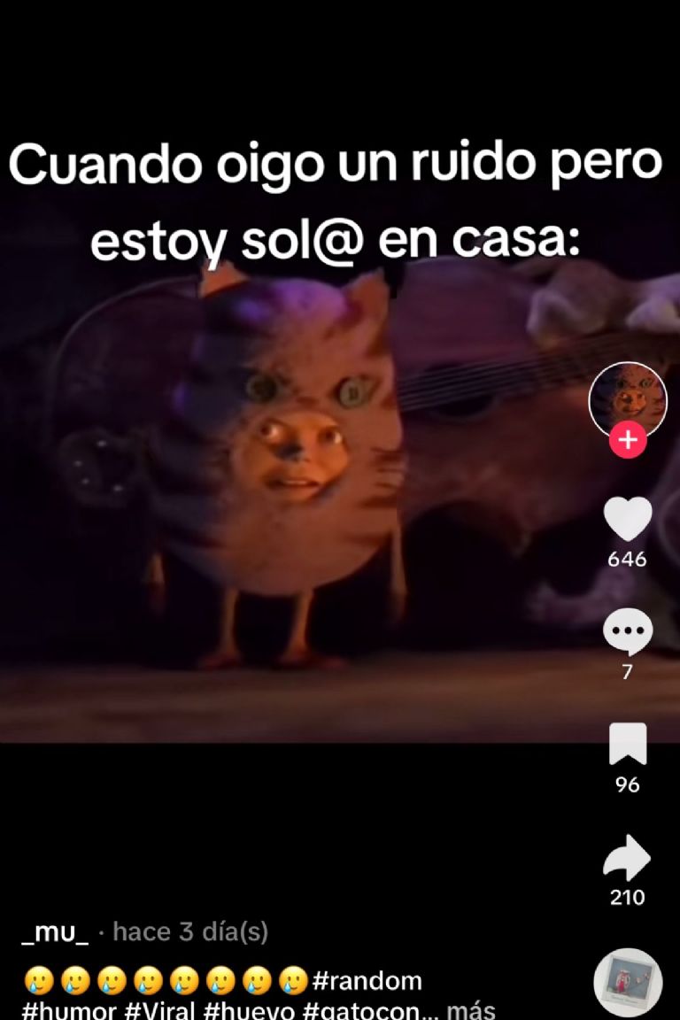 humpty dumpty los mejores memes de tiktok