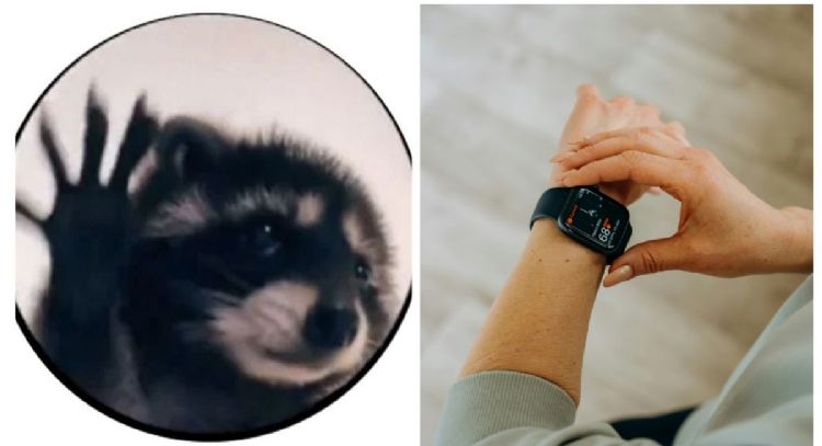 Esta es la manera en que puedes tener al mapache Pedro en tu smartwatch
