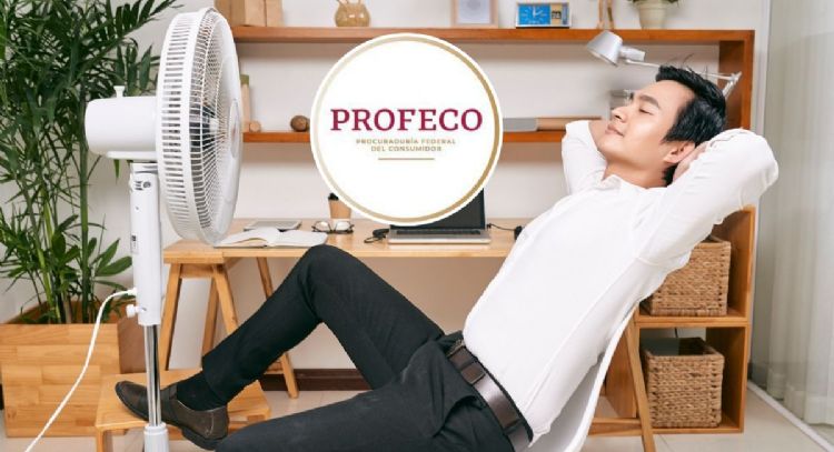 Potentes y baratos: estos son los mejores ventiladores para combatir el calor según Profeco