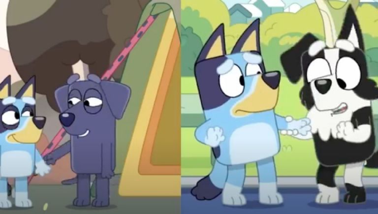 ¿Con quién se queda Bluey en el episodio final?