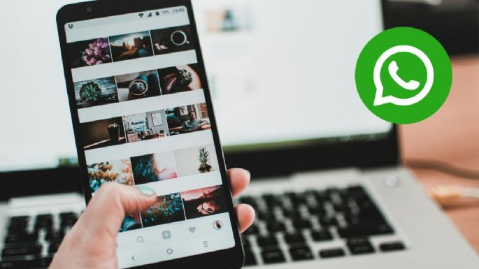 El truco para enviar tus fotos y vídeos de WhatsApp a la computadora sin cables