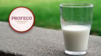 Lala o Alpura: ¿qué leche tiene más proteína, según Profeco?