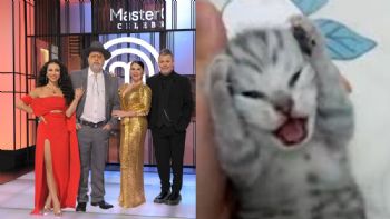 MasterChef Celebrity 2024: Los mejores memes que dejó la final del reality de TV Azteca
