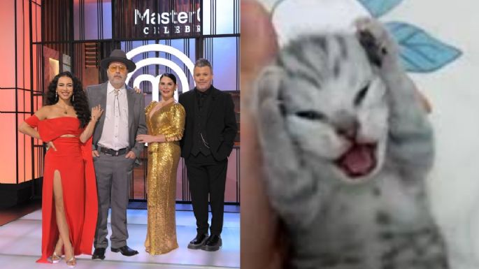 MasterChef Celebrity 2024: Los mejores memes que dejó la final del reality de TV Azteca