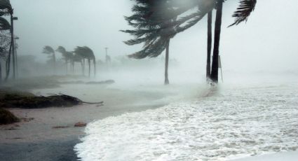 Huracán Beryl: los estados que serán AZOTADOS cuando toque tierra dos veces