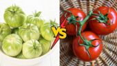 Foto ilustrativa de la nota titulada: ¿Jitomate o tomate? Gente se pelea en redes por cómo se dice y esta es la forma correcta