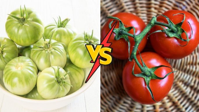 ¿Jitomate o tomate? Gente se pelea en redes por cómo se dice y esta es la forma correcta