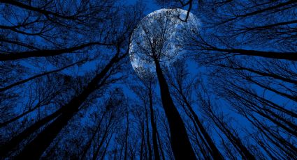 Luna Azul de Halloween: ¿Cómo ver este fenómeno y qué significa?