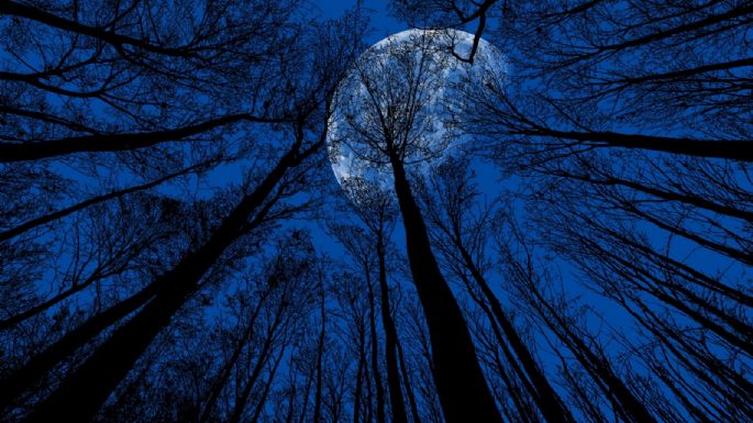 Luna Azul de Halloween: ¿Cómo ver este fenómeno y qué significa?