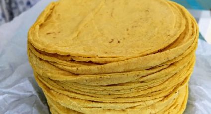 ¿Cuánto costará el kilo de tortillas a partir de diciembre?