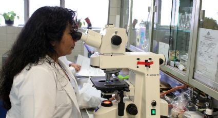 Chapare: ¿qué es el virus mortal que apareció en Bolivia y ya tiene víctimas?