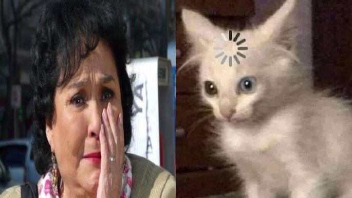 La Más Draga 3: la presencia de Carmelita Salinas deja divertidos MEMES