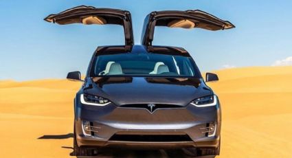 Guanuajuto quiere producir los automóviles Tesla de Elon Musk
