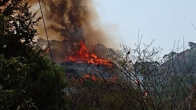 Mujer intenta hacer TikTok y ocasiona incendio forestal en Tepoztlán