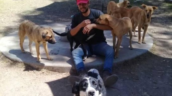Envenenan a varios perros en un refugio del Estado de México