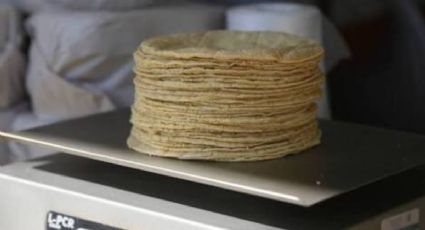 Kilo de tortillas podría llegar a los 30 pesos en las próximas semanas