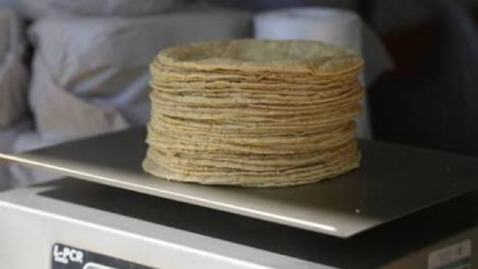 Kilo de tortillas podría llegar a los 30 pesos en las próximas semanas