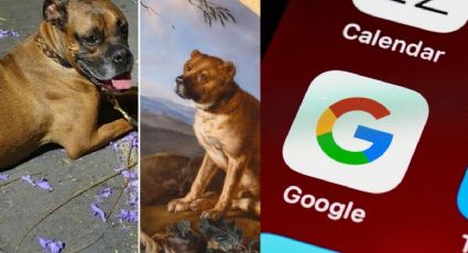 Google te dice a qué obra de arte se parece tu perrito con esta aplicación