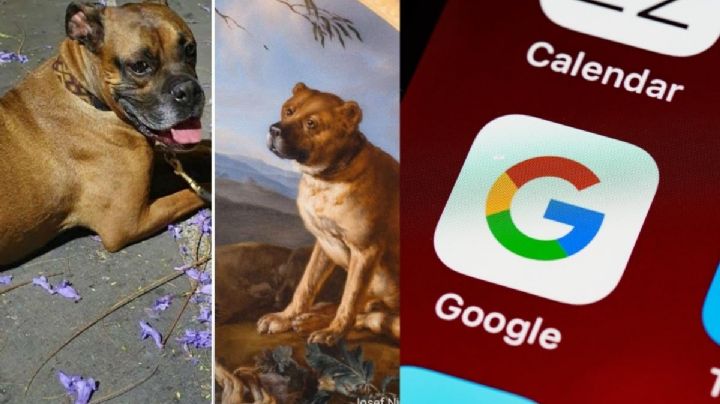 Google te dice a qué obra de arte se parece tu perrito con esta aplicación