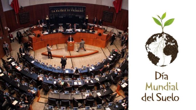 Senado de la República celebra el Dia Mundial del Suelo, fomentando la reforma a la Ley de Desarrollo Forestal Sustentable
