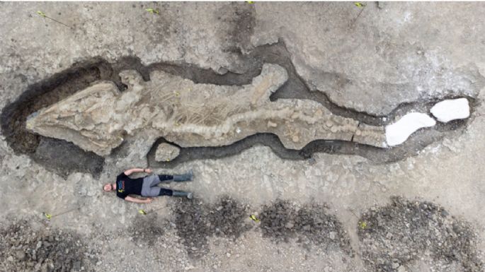 ¿Un dragón? Encuentran un fósil completo de más de 180 millones de años