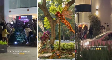 México Mágico: Roban flores del Festival de las Flores de Polanco y los exhiben en VIDEO