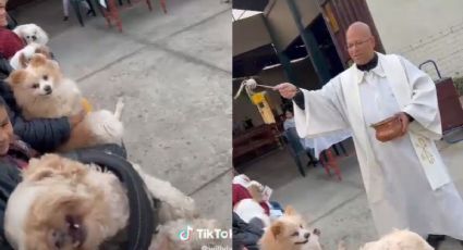 Exorcizando perritos: Sacerdote avienta agua bendita a perros y a uno "se le sale el chamuco" (VIDEO)